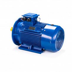 Электродвигатель ESQ 100 LB4-SDN- 3/1500 IMB35