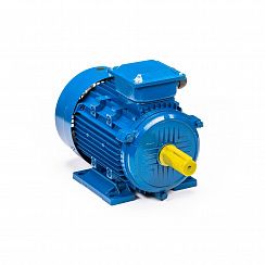 Электродвигатель 5АИ 112 М4 ET 5,5/1500 IM1081