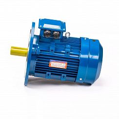 Электродвигатель 5АИ 63 В6 ET2 0,25/1000 IM3081