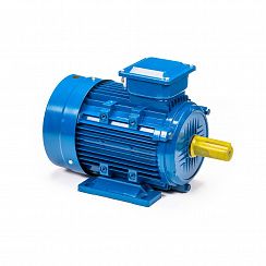 Электродвигатель 5АИ 112 М4 ET 5,5/1500 IM1081