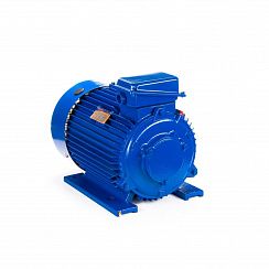 Эл.двигатель 5MTКH 200 LB8 22/750  IM 1003