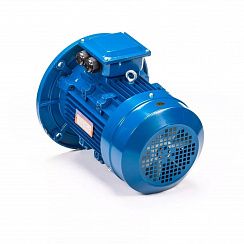 Электродвигатель 5АИ 63 В6 ET2 0,25/1000 IM3081