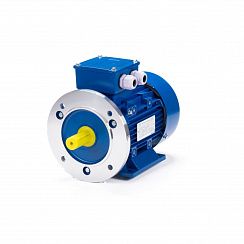 Электродвигатель ESQ 80 A4-SDN- 0,55/1500 IMB35