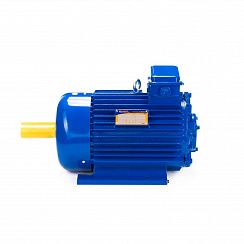 Электродвигатель 5МТКН 112-6 5/1000 IM1001