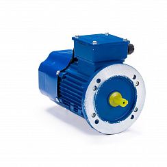Электродвигатель 5АИ 90 L4 ET 2.2/1500 IM 3081
