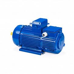 Электродвигатель 5МТН 280 L6 110/1000 IM1004