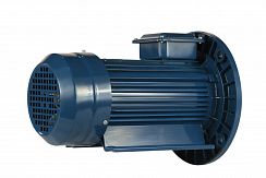 Электродвигатель 5АИ 90 L6 ED 1,5/1000 IM2081