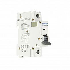 Автоматический выключатель HGD63-M 1PMDS0000C D 1P 6А 6kA (STANDARD)