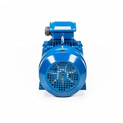 Электродвигатель 5АИ 112 М4 5,5/1500 IM1081