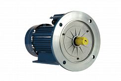 Электродвигатель 5АИ 90 L6 ED 1,5/1000 IM2081