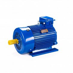 Электродвигатель 5МТКН 312-6 15/1000 IM1001