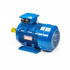 Электродвигатель 5АИ 100 S4 3/1500 IM1081