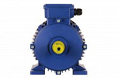 Электродвигатель 5АИ 100 L6 ED 2,2/1000 IM1081