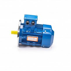 Электродвигатель 5АИ 100 L6 ET2 2,2/1000 IM2081