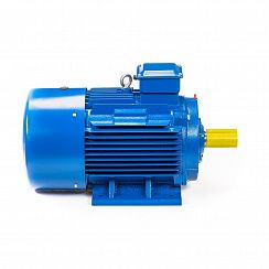 Электродвигатель 5АИ 200 М6 22/1000 IM1001