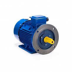 Электродвигатель ESQ 100 LB4-SDN- 3/1500 IMB35