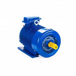 Эл.двигатель 5MTКH 200 LB8 22/750  IM 1003