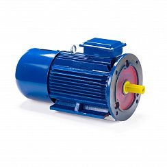 Электродвигатель 5АИ 100 L4 ED 4/1500 IM2081
