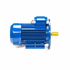 Электродвигатель 5АИ 100 L4 ED 4/1500 IM2081