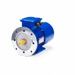 Электродвигатель 5АИ 71 В6 ED 0,55/1000 IM2081