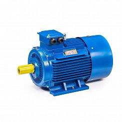 Электродвигатель 5АИ 200 М6 22/1000 IM1001