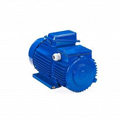 Эл.двигатель 5МТН 200 LA8 15/750  IM 1003