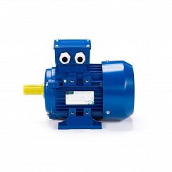 Электродвигатель ESQ 90 LA2-SDN- 2,2/3000 IMB3