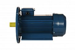 Электродвигатель 5АИ 90 L6 ED 1,5/1000 IM2081