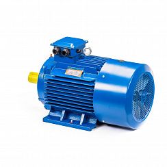 Электродвигатель 5АИ 200 М6 22/1000 IM1001