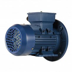 Электродвигатель 5АИ 63 А4 0,25/1500 IM2081