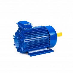 Электродвигатель 5МТКН 111-6 3,5/1000 IM1001