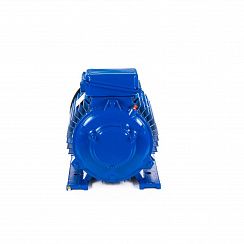 Электродвигатель 5МТКН 225 L8 37/750 IM1003