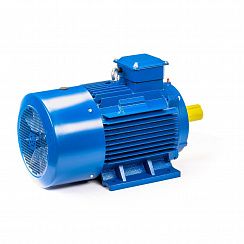 Электродвигатель 5АИ 200 М8 18,5/750 IM1001