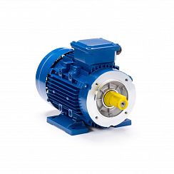 Электродвигатель ESQ 71 B4-SDN- 0,37/1500 IMB34