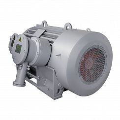 Эл.двигатель ВАО7А 450 LB2 УХЛ1 PBExdI Mb 6000В IP54 400/3000  IM 1001