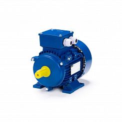 Электродвигатель ESQ 90 LA2-SDN- 2,2/3000 IMB3