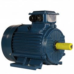 Электродвигатель 5АИ 100 L2 ET 5,5/3000 IM1081