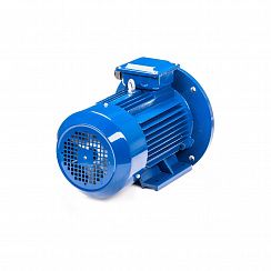 Электродвигатель 5АИ 100 L6 ED 2,2/1000 IM2081