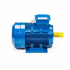 Электродвигатель 5АИ 112 М4 5,5/1500 IM1081