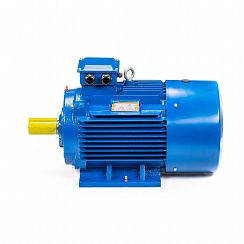 Электродвигатель 5АИ 200 М6 22/1000 IM1001