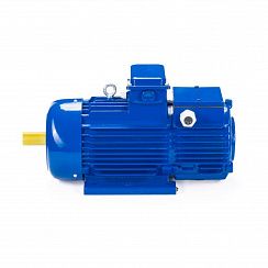 Эл.двигатель 5МТН 200 LA8 15/750  IM 1003