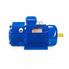 Эл.двигатель 5МТН 312-6 15/1000  IM 1001