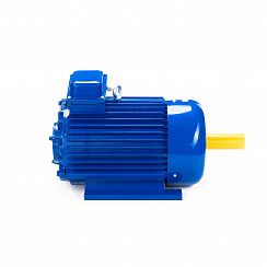 Электродвигатель 5MTKH 132 LB6