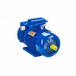 Электродвигатель 5МТН 280 L8 90/750 IM1003