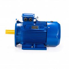 Электродвигатель ESQ 100 LB4-SDN- 3/1500 IMB35