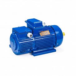 Электродвигатель 5МТН 280 L10 75/600 IM1003