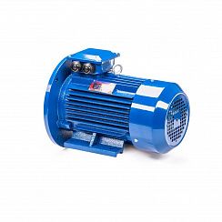 Электродвигатель 5АИ 100 S2 4/3000 IM2081