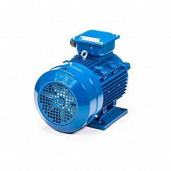 Электродвигатель 5АИ 100 S4 3/1500 IM1081