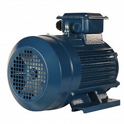 Электродвигатель 5АИ 100 L2 ET 5,5/3000 IM1081