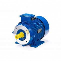 Электродвигатель ESQ 100 LС4-SDN- 4/1500 IMB34